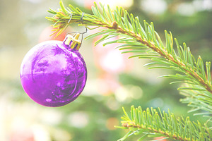 Trees reflection in Christmas ball