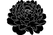 Peony Flower Silhouette, an Object Graphic by Designer_Momina (Thumbnail 2 of 18)
