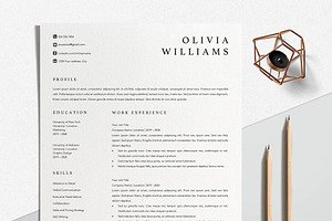 Executive Resume Template Word, a Resume Template by LucaTheme