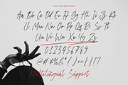 Cosmic Rockstar Font, a Script Font by Timurtype (Thumbnail 6 of 7)
