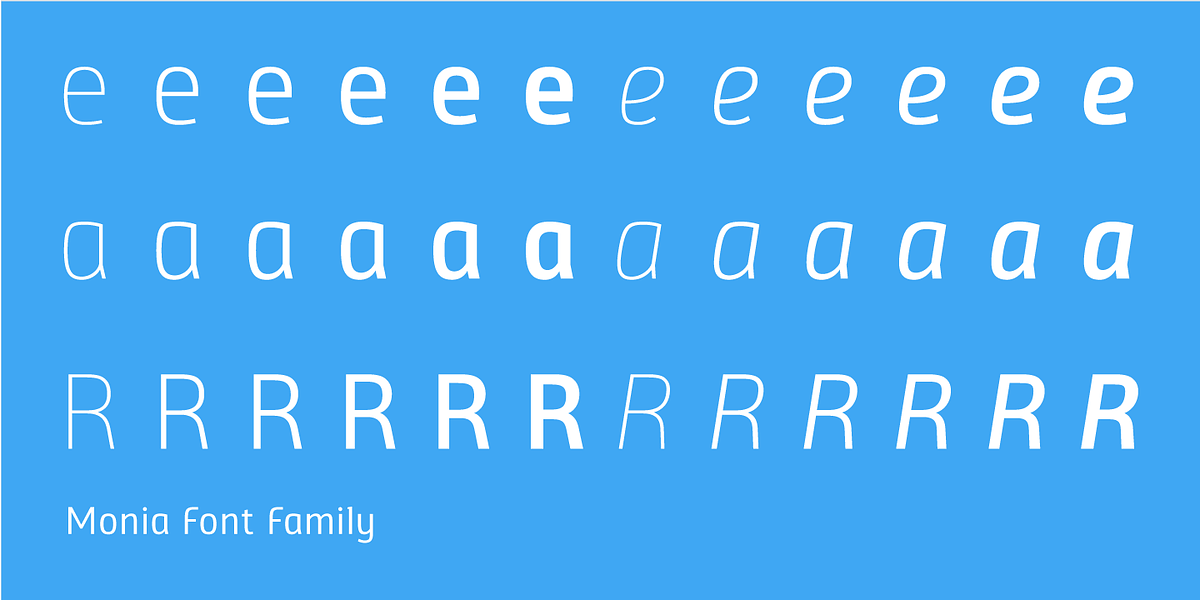 Monia, a Sans Serif Font by VivalaType (Photo 7 of 8)