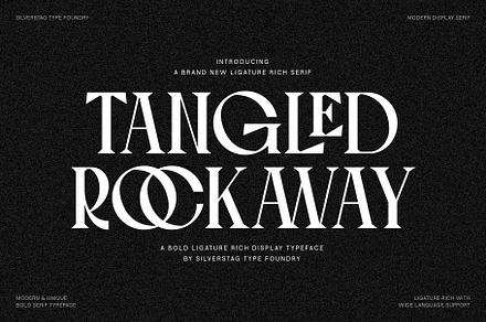Tangled Rockaway Vintage Serif Font, a Serif Font by SilverStag Type Foundry