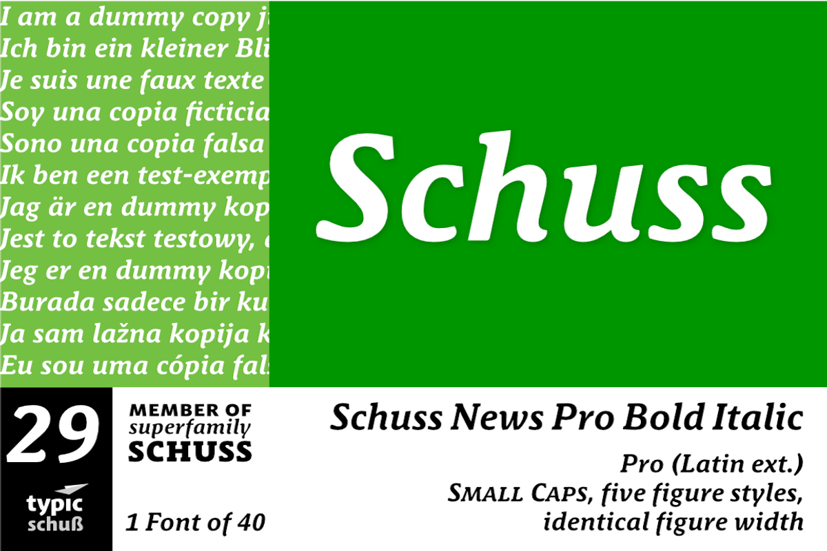 SchussNewsProBoldIta No.29 (1 Font)