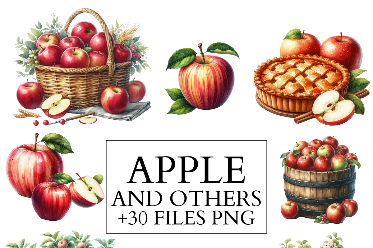 Apple Clipart Set Watercolor PNG, a Food Illustration by VM PARTYS  BY TAIRUMA (Photo 1 of 7)