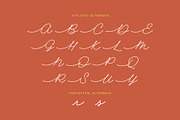 Dian Milena - Signature Script, a Script Font by Get Studio (Thumbnail 9 of 29)
