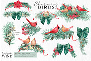 Christmas Teal Clipart Cardinal Bird, an Illustration by Ksenia Shmakova (Thumbnail 10 of 16)