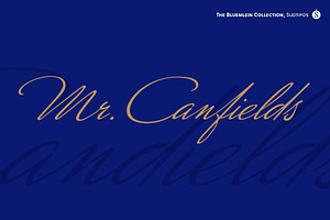 Mr Canfields Pro, a Script Font by Sudtipos