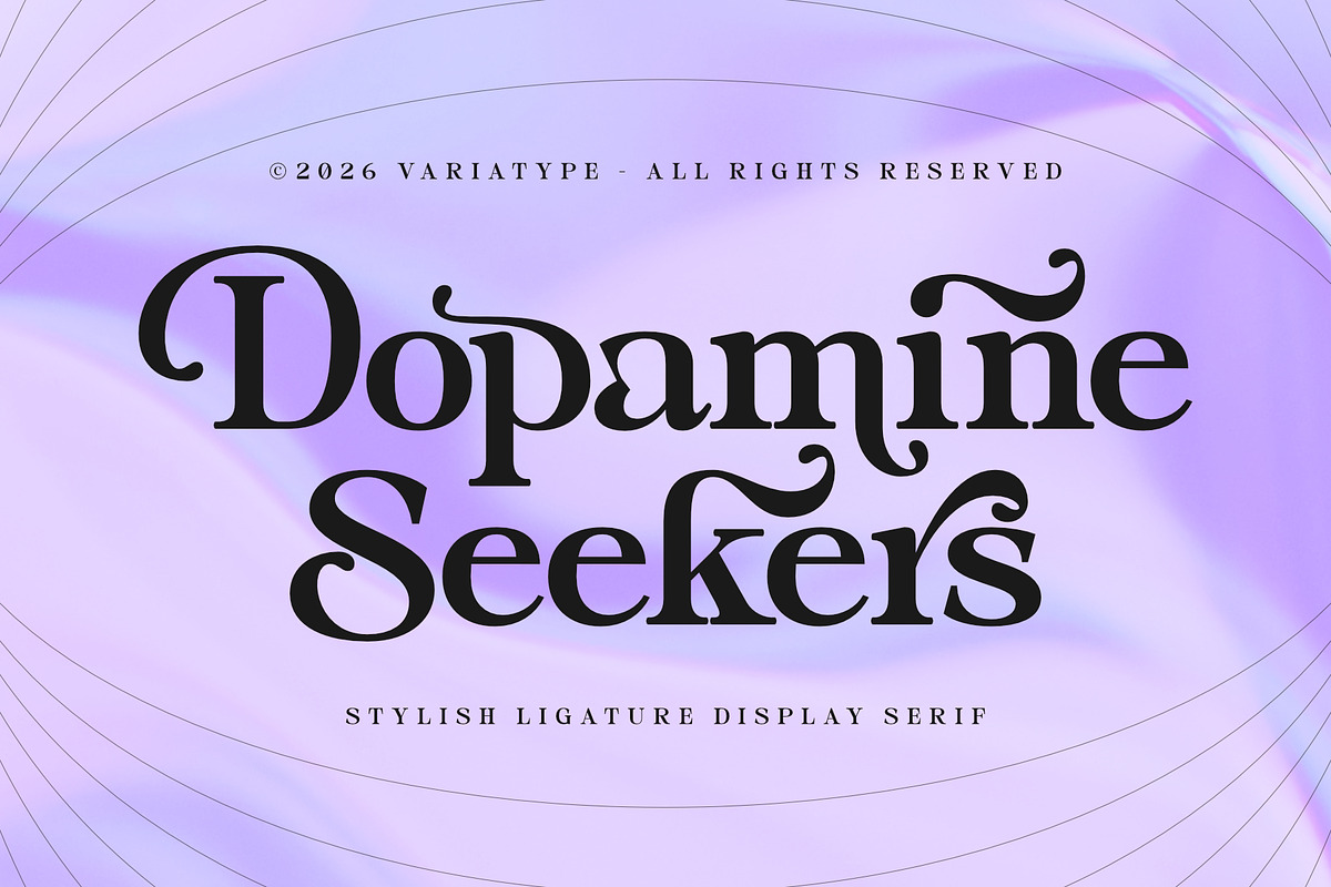 Dopamine Seekers - Stylish Serif, a Serif Font by Variatype (Photo 1 of 8)