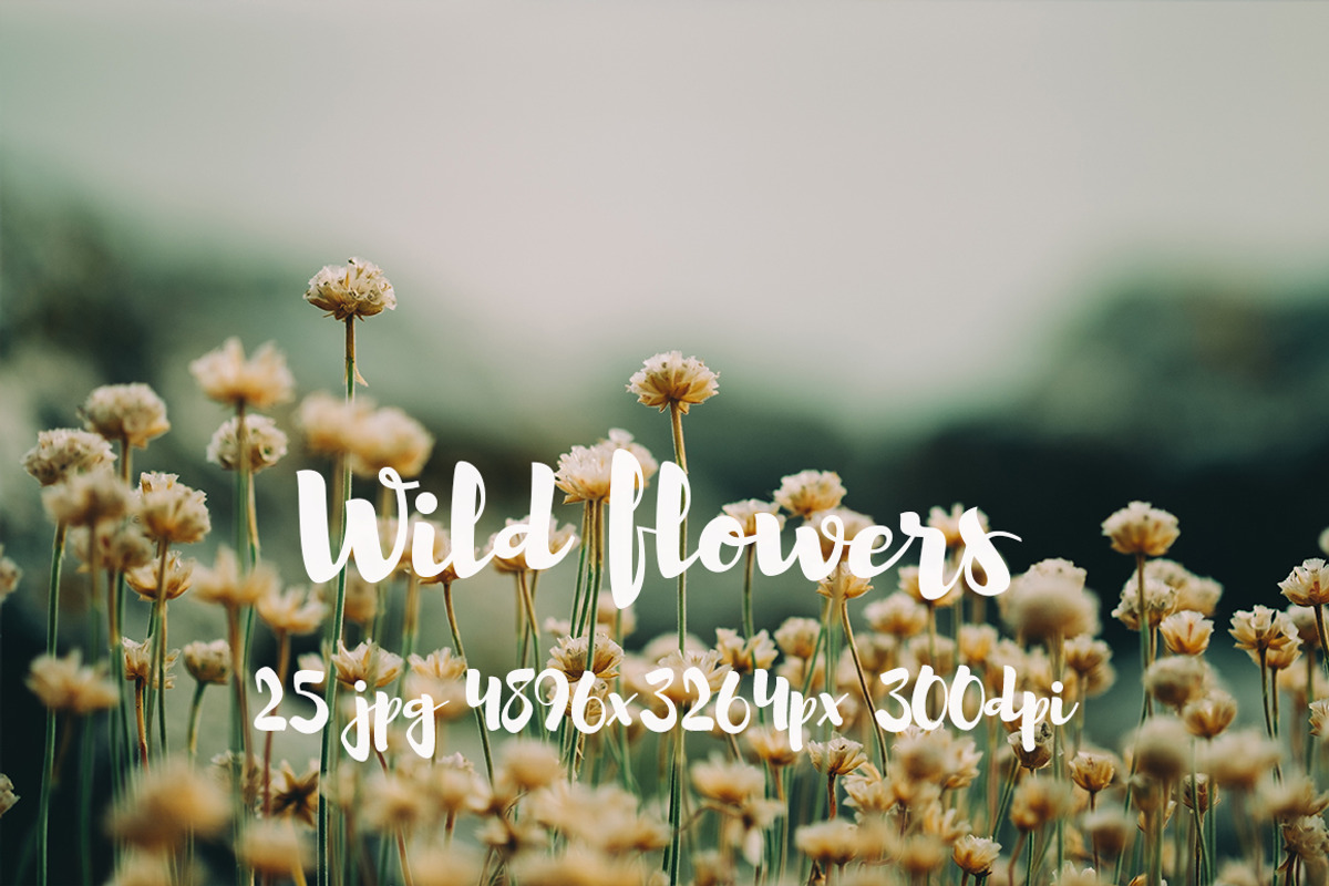 Wild Flowers II, a Templates & Theme by ApertureVintage (Photo 2 of 14)