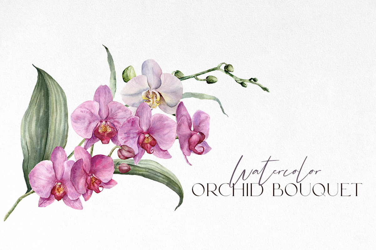 Orchid Watercolor flowers clipart, an Illustration by Yuliya Derbisheva (Photo 8 of 10)