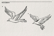 Wedding Sketch Set PNG, a Decorative Illustration by LOKSKIH (Thumbnail 6 of 9)