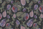 FIGS, an Illustration by PASHKOVA (Thumbnail 11 of 11)