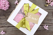 Valentine's Day Calligraphy Overlays, an Illustration by Irina Vascovet (Thumbnail 4 of 4)