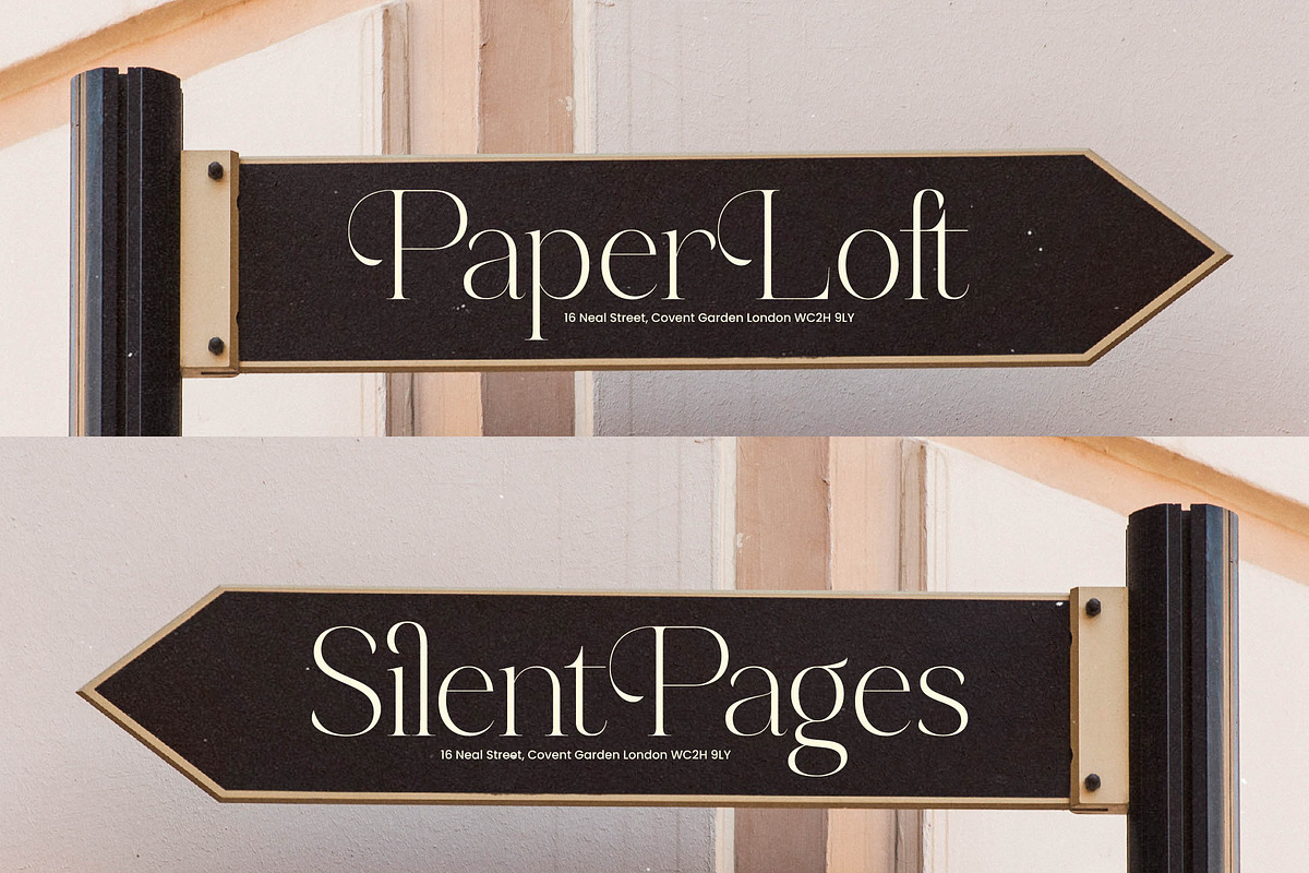 Perfect Romantic Modern Serif, a Serif Font by timelesstype.co (Photo 5 of 20)