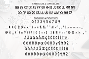 January | Script Font, a Script Font by Scratchones (Thumbnail 7 of 8)