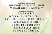 Sunshine | Script Font, a Script Font by Scratchones (Thumbnail 7 of 8)