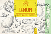 Lemon. Hand drawn ink illustrations, a Food Illustration by Alena Kaz (Thumbnail 1 of 4)