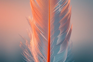 Soft Pastel Feather Macro with Dreamy Blue Background, a Background Photo by José Manuel Gelpi