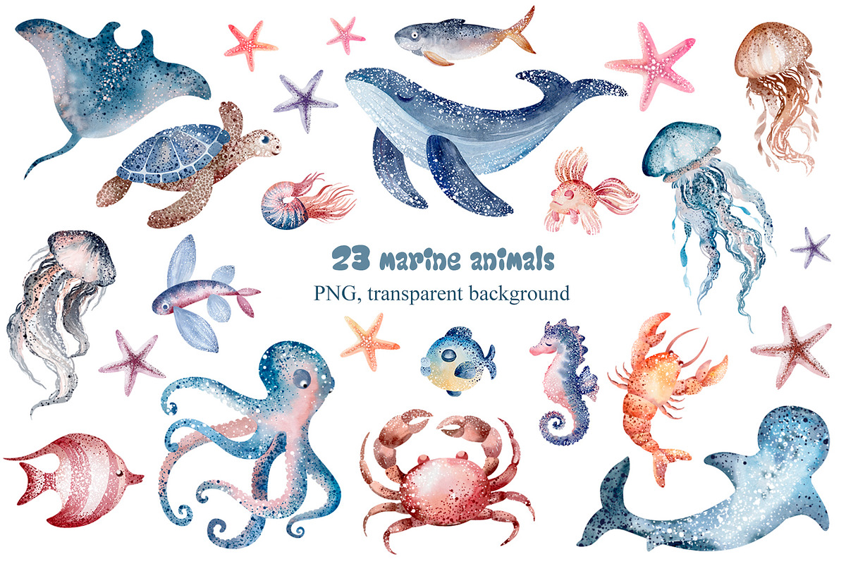 Ocean Animals Watercolor Clipart, an Animal Illustration by LenArt (Photo 13 of 16)