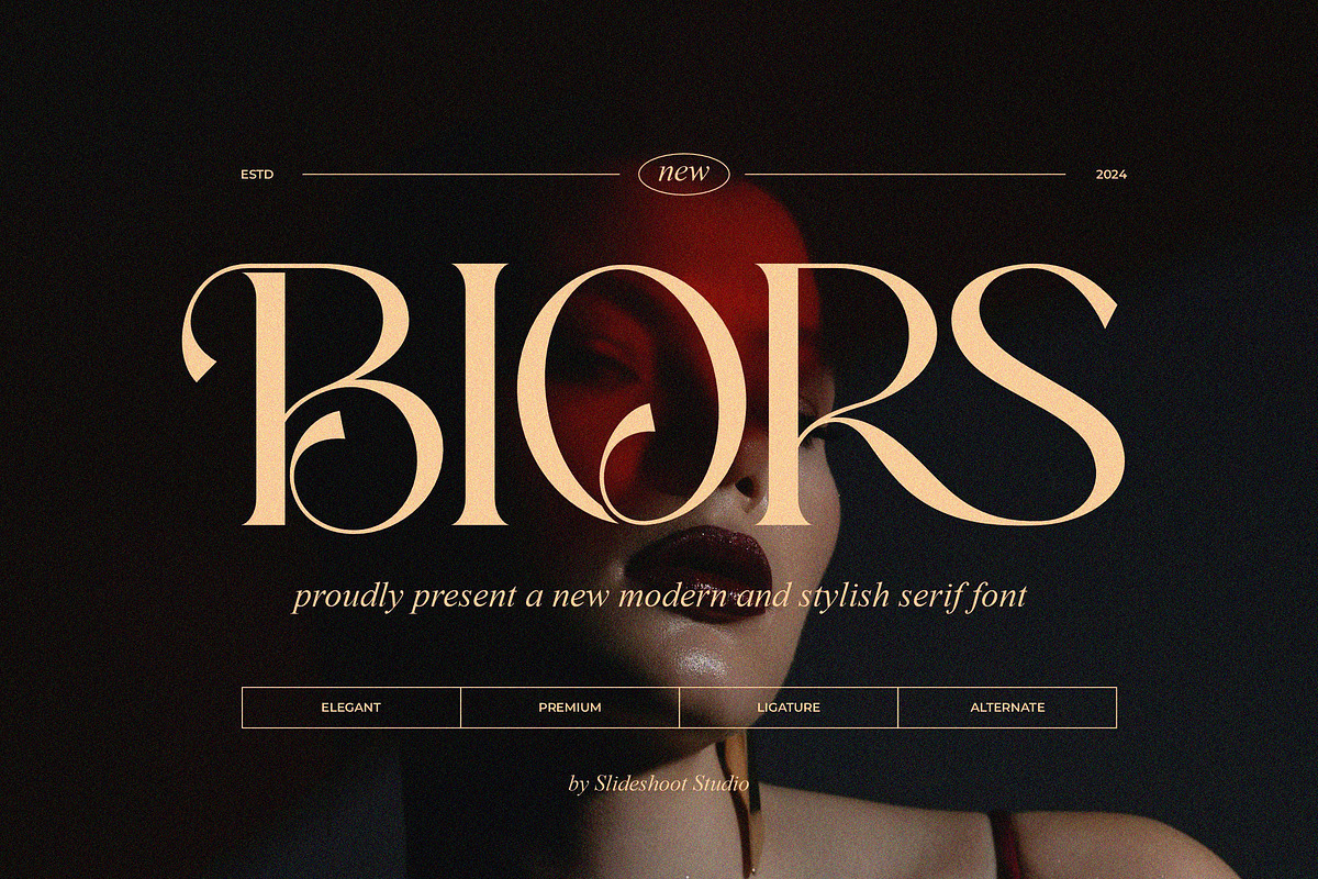 Biors || Modern Serif Font, a Script Font by Idea Studio (Photo 1 of 10)