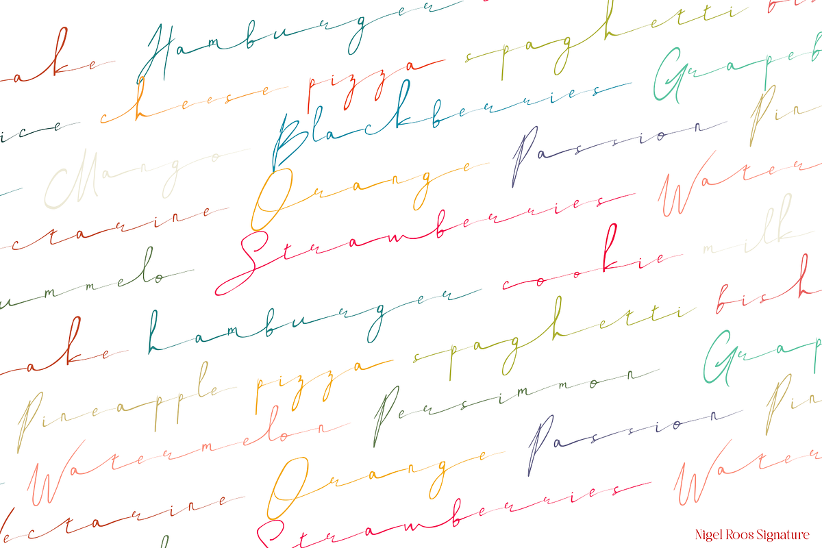 Nigel Roos Signature, a Script Font by madeDeduk (Photo 5 of 8)