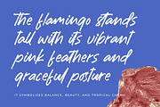 Rashing Skystand Handwritten Brush, a Script Font by Letterena Studios Script (Thumbnail 9 of 15)