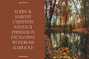 TAN - NIGHTINGALE, a Serif Font by TanType (Thumbnail 3 of 15)