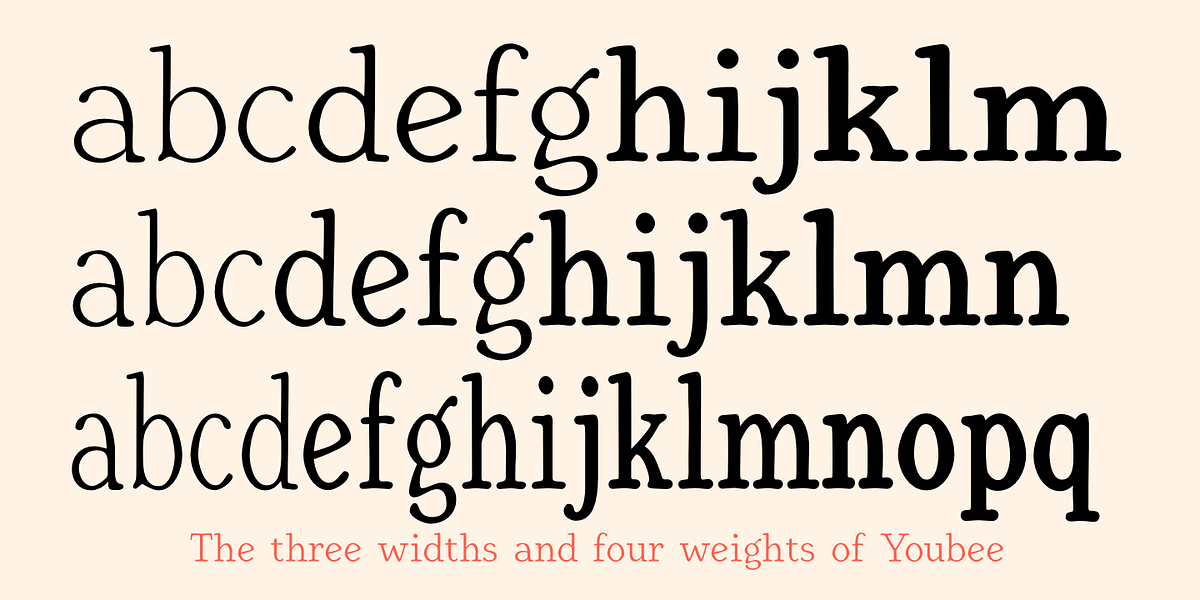 Youbee, a Serif Font by Ingrimayne Type (Photo 7 of 12)