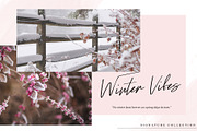Ramstay Script, a Script Font by Dm Studio (Thumbnail 2 of 7)