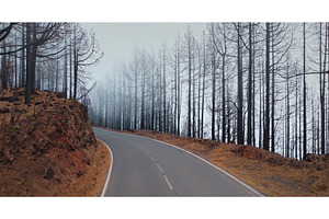 Tenerife road winding through burnt, a Nature Photo by Goinyk