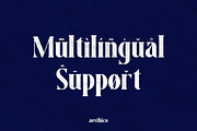 Aesthico Bold Serif Font, a Serif Font by Heinzel Std (Thumbnail 15 of 15)