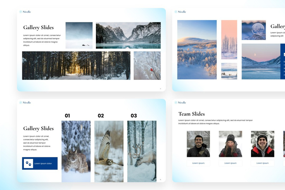 Nivelle Presentation, a Presentation Template by Interpitch (Photo 4 of 9)