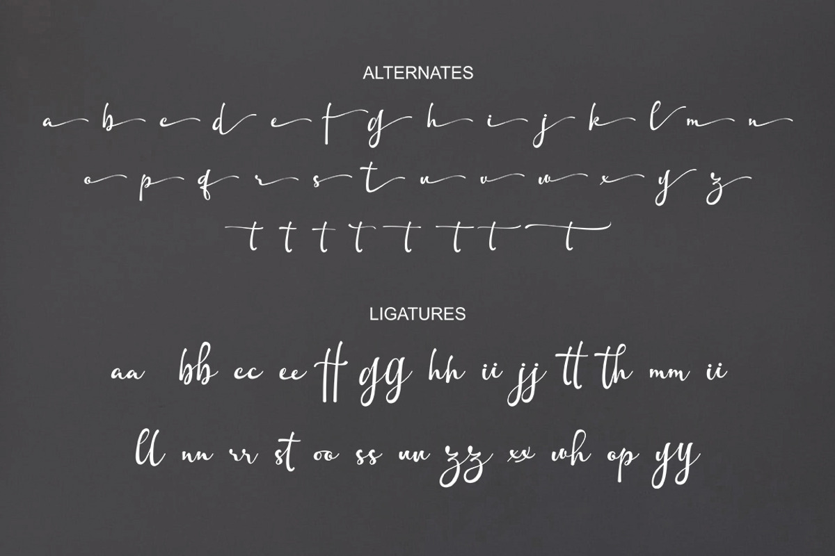 Aunther Signature, a Handwritten Font by Rotterlab Studio (Photo 9 of 11)