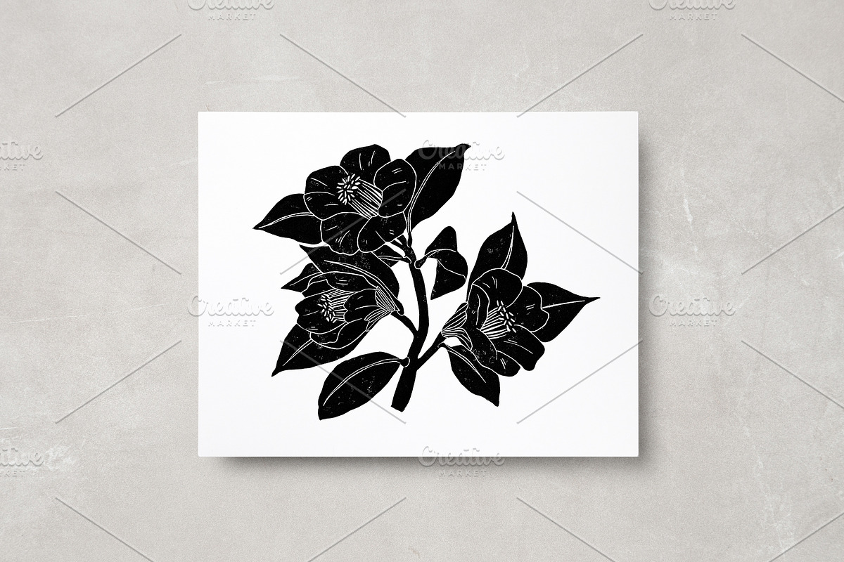 Vintage Botanica II, an Object Graphic by Mii Lab (Photo 20 of 21)