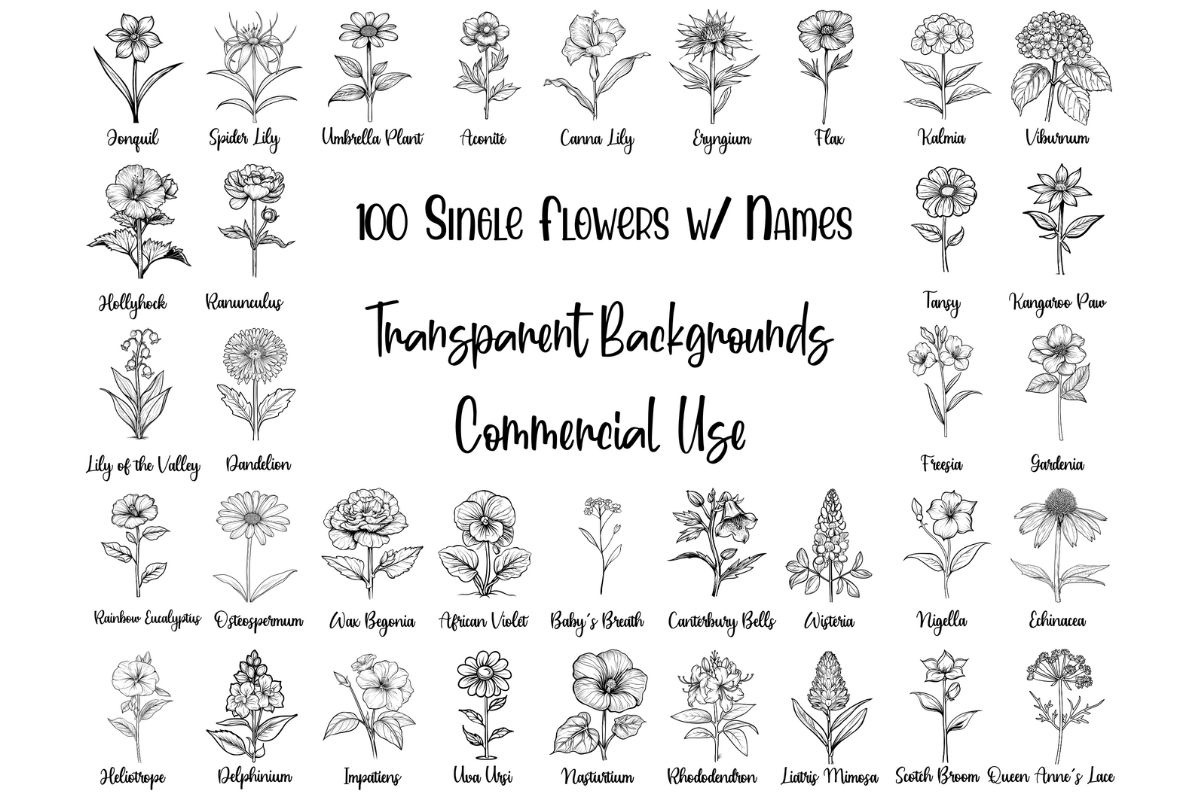 100 Single Flower Designs with Names