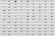Eyelash Stamp Brushes Set, a Brush Add-On by Selentaori Studio (Thumbnail 2 of 11)