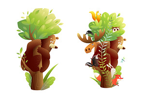 Forest Animals In Woods Collection