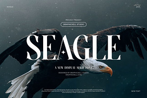 Seagle Elegant Serif Font, a Serif Font by Graphicxell