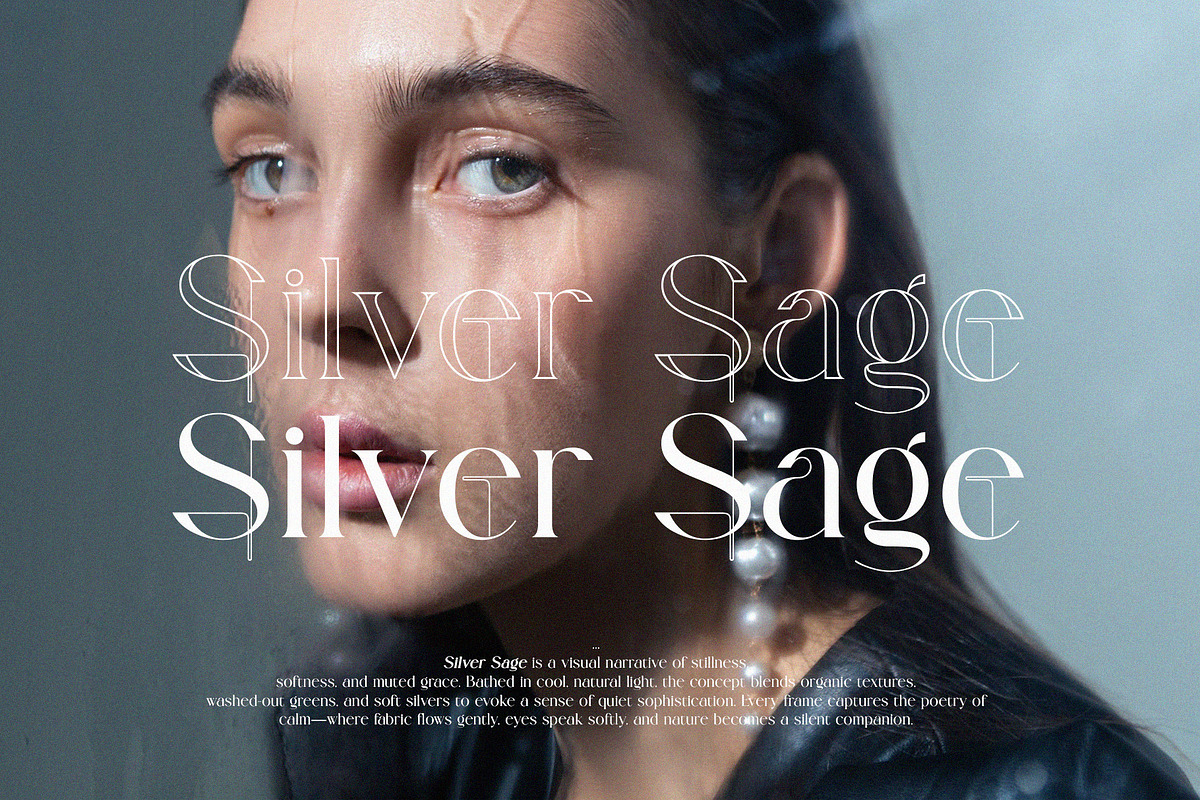 Galviane – Artistic Modern Serif, a Serif Font by BrandSemut (Photo 7 of 10)