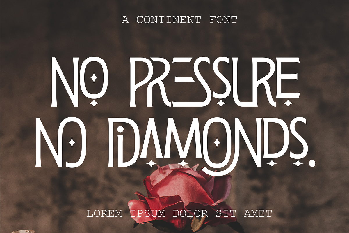Continent Transport - Ligatures Font, a Serif Font by 177Studio (Photo 4 of 8)