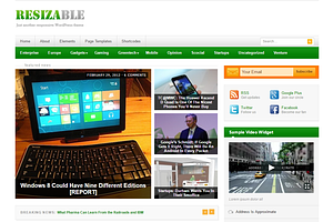 Resizable WordPress Theme