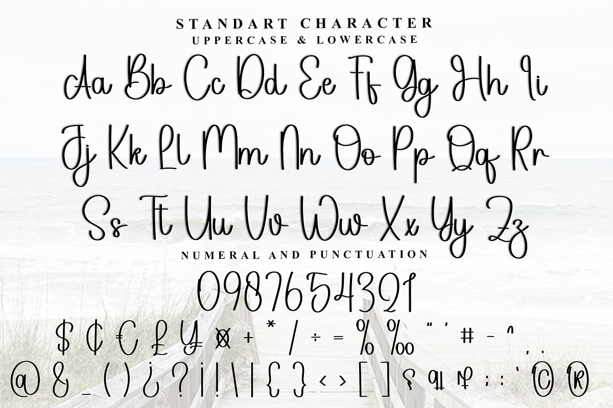 Trailer Valentine, a Handwritten Font by FreshTypeINK (Photo 6 of 8)