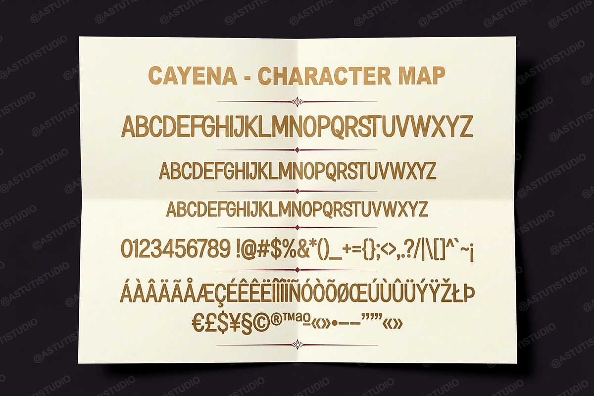 Cayena - Modern Serif, a Serif Font by Astuti Studio (Photo 4 of 25)