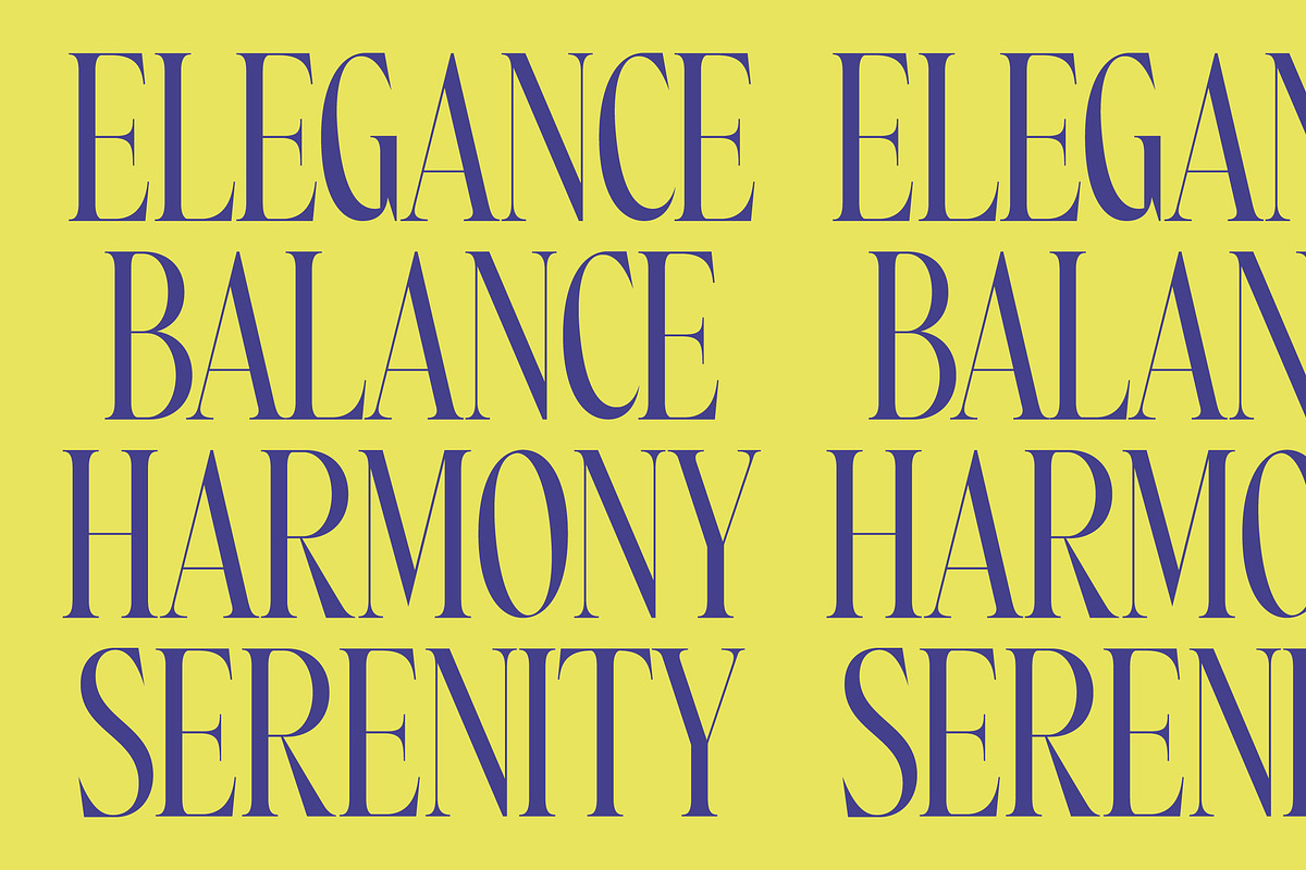 Most Pixels Modern Elegant Serif, a Serif Font by timelesstype.co (Photo 6 of 15)