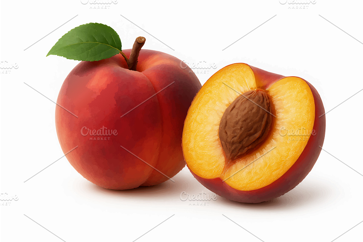 Whole and cut peach with pit vector, a Food Illustration by AlexArt