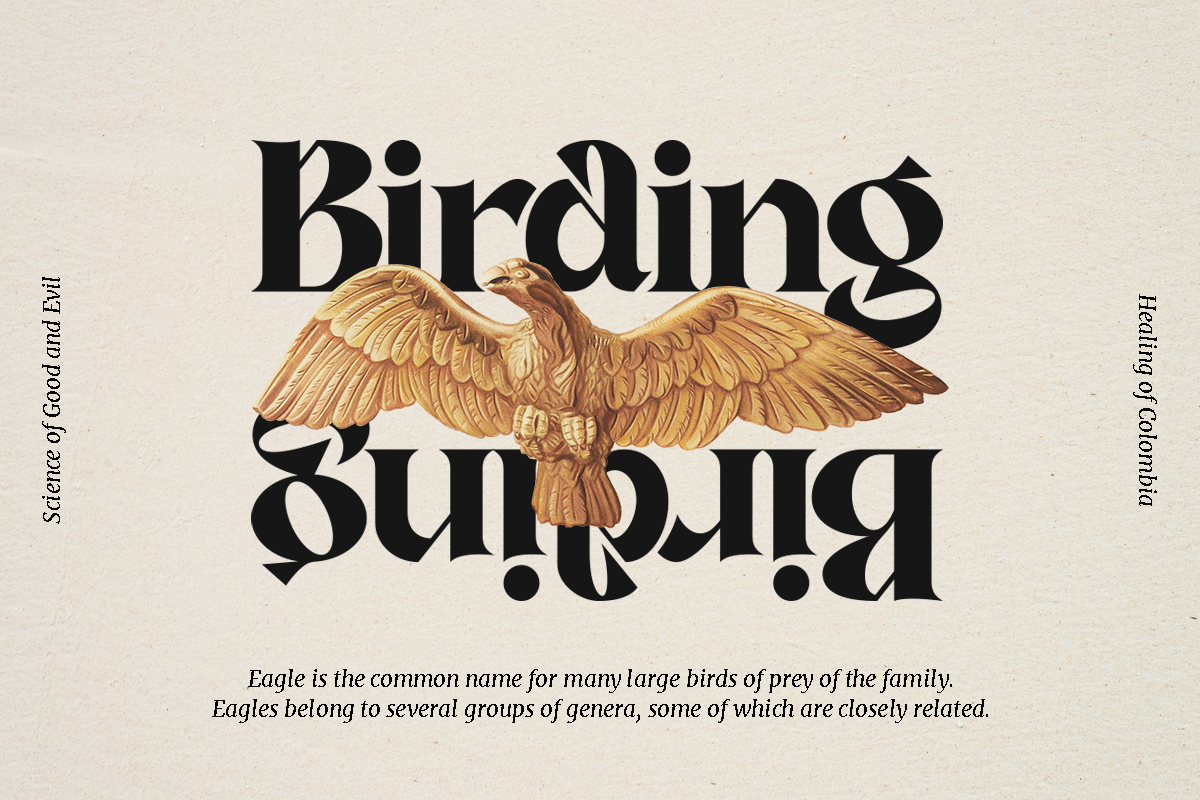 Nambya - Sharp Serif Typeface, a Serif Font by Dharmas Foundry (Photo 8 of 15)