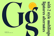 Bralge Modern Display Serif Font, a Serif Font by timelesstype.co (Thumbnail 7 of 20)