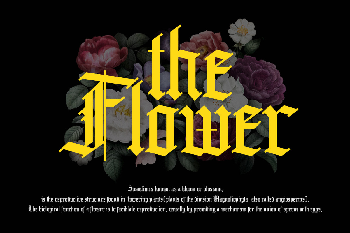Grandice - Blackletter Typeface, a Blackletter Font by Letterhend Studio (Photo 9 of 9)