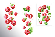 Summer Raspberries. Watercolor set, a Food Illustration by Daria Ustiugova (Thumbnail 10 of 26)