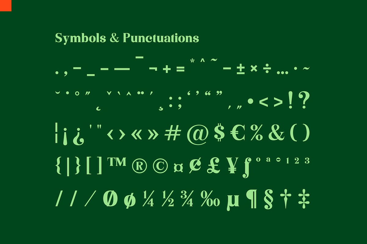 Niecher-Serif Display, a Serif Font by takoliko (Photo 12 of 13)